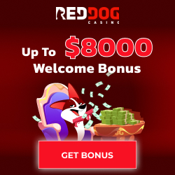 Red Dog Casino